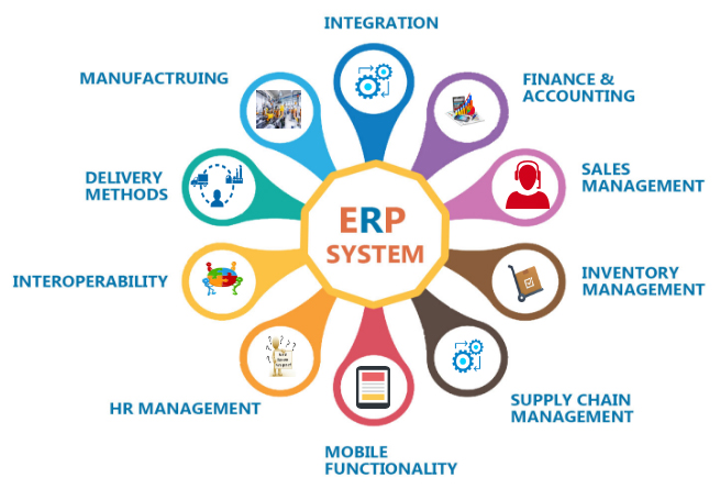The significance of ERP for dynamic organizational frameworks